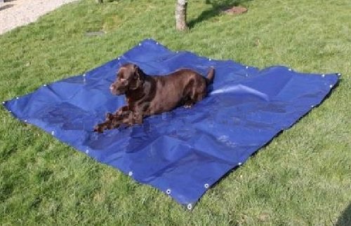 Blue And Beige Heavy Duty Tarpaulin For Pets 350gsm